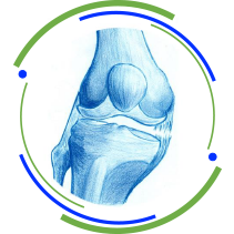 Ligamento colateral lateral 1 Lesões dos ligamentos do joelho